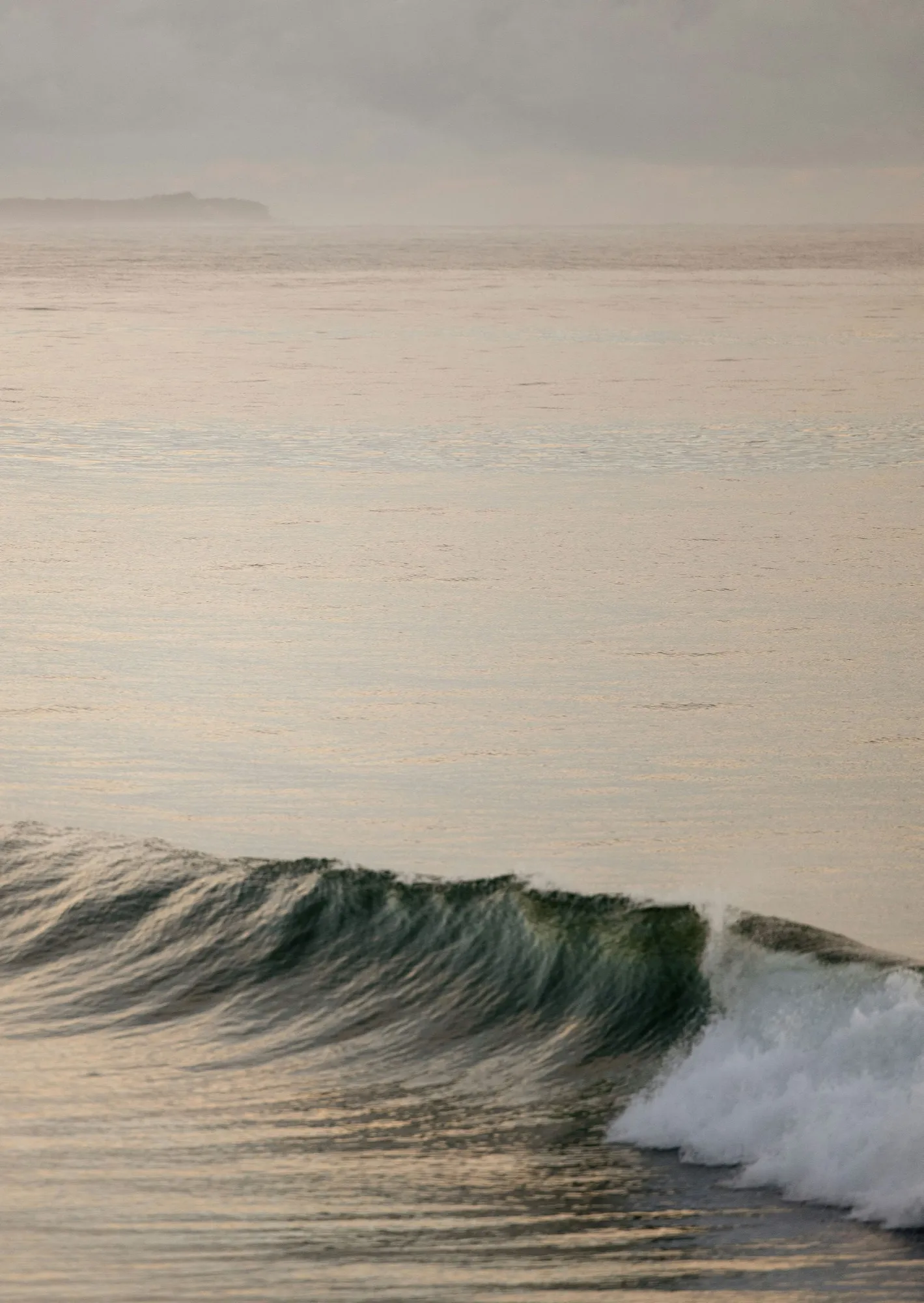 A wave rolling in at Cabarita Beach